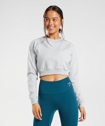 Dámské Accessories Gymshark Tréninková Cropped Svetrové Světle Šedé | CZ 3773HAP